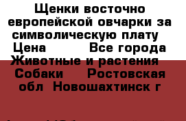Щенки восточно европейской овчарки за символическую плату › Цена ­ 250 - Все города Животные и растения » Собаки   . Ростовская обл.,Новошахтинск г.